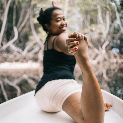 reformer pilates à vendre
